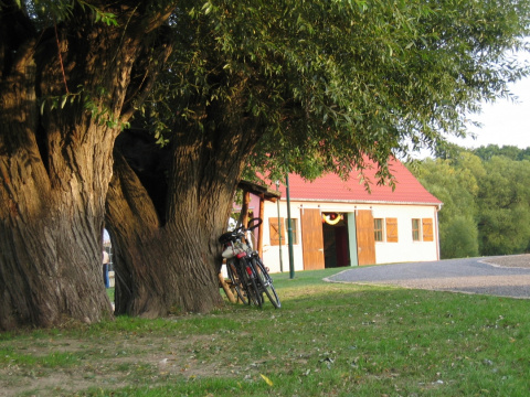 Hauptbild, Bild: Volkhard Lehmann
