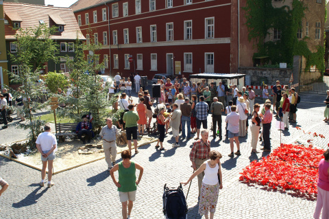 Aktion „PARK-PLATZ! – Gärten auf dem Rollplatz Weimar“, Bild: Ulrich Ihle