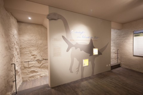 Ausstellung, Bild: Alexander Burzik