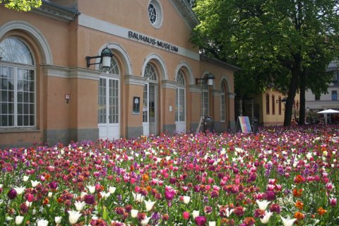 Frühjahrsbepflanzung Theaterplatz, Bild: Ulrich Ihle