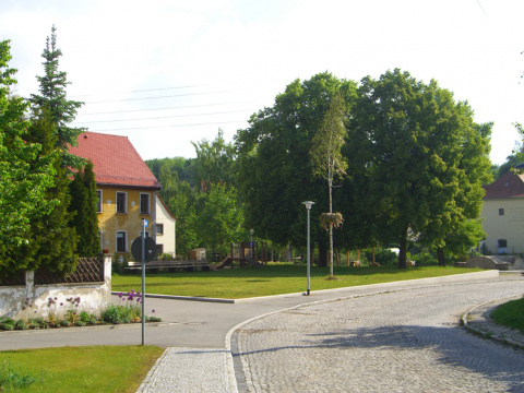 Maibaum auf dem Dorfplatz Süssenborn, Bild: Ulrich Ihle