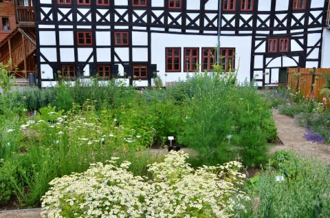 Apothekergarten, Bild: Martina Trebert