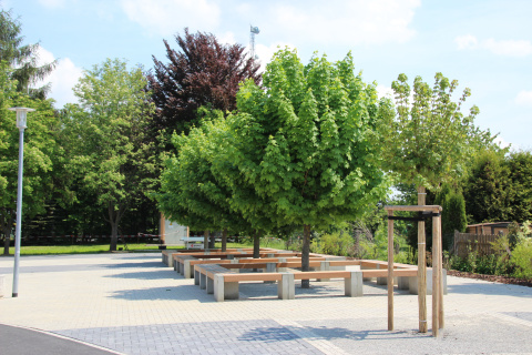 Pausenhof, Bild: Katja Wittmann