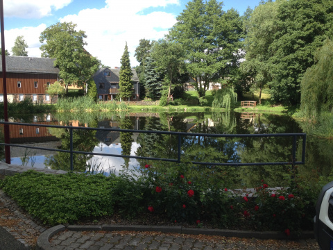 Dorfteich, Bild: Doris Halfter