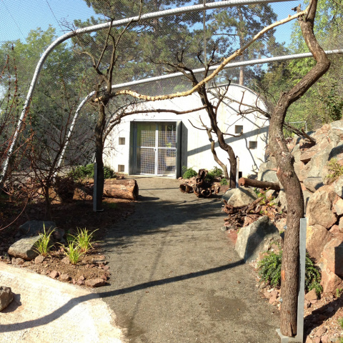 Innenvoliere, Bild: Maurice Fiedler