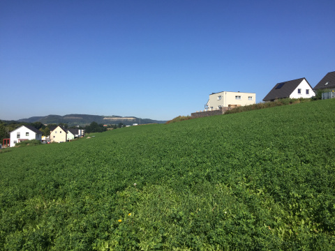 Wohn- und Gewerbeanlage Zöllnitz_Bauplatz, Bild: Antje Heise