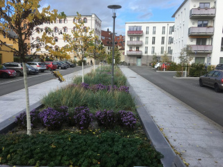 Straßenraumgestaltung "Am Rähmen", Bild: Wolfram Stock