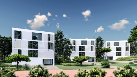 Kliffkante Usedom, Bild: Claus D. Worschech