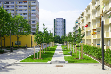 Neue Allee Nord, Bild: Andrea Ziegenrücker