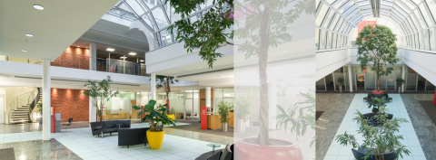 Sparkasse Anger - Blick durch die Kundenhalle, Bild: Ivo Mestenhauser