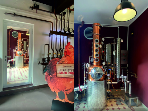 Brennblase, Bild: Pia Wienrich