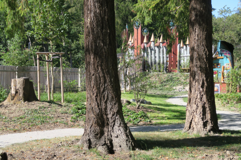 Blick durch die Bäume Richtung Thinghügel, Bild: Sabine Schwerin