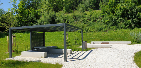 Thum- Brachfläche, Bild: Robert Hannes Backe