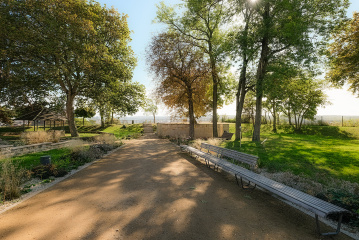 Schattenplatz unter stattlichen Gehölzen, Bild: Nico Stengert