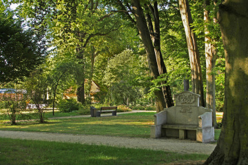 Alter Baumbestand im nördlichen Parkteil, Bild: Thomas Rahner-Heinisch