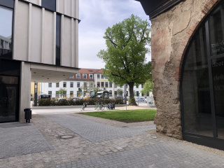 Haupteingang am ehemaligen Kreuzgang, Bild: Wolfram Stock