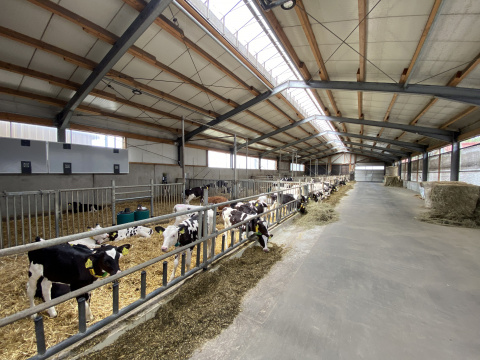 Schöndorf_Kälberstall, Bild: Doris Halfter