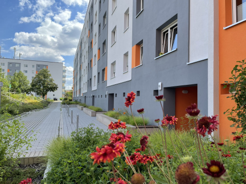 Wohnen am Aueblick - Blick in den Hof 2, Bild: Diana Moraweck