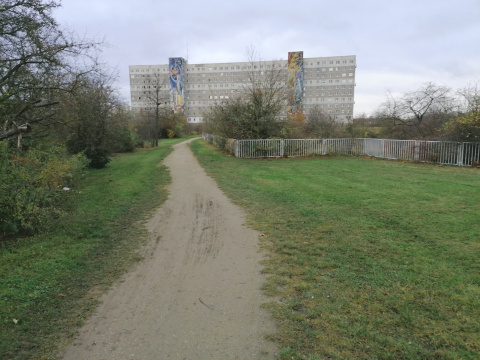 Bruchsee - Bestand, Bild: Diana Moraweck