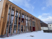 Bäume in der Fassade