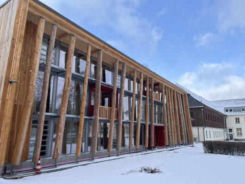 Bäume in der Fassade, Bild: Jörg Weber