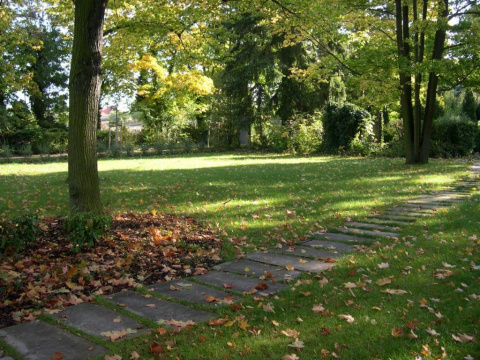 Blick ins Graeberfeld, Bild: Steffen Möbius
