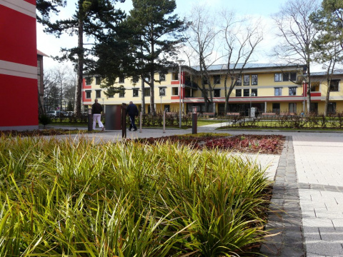 Pflanzung an der Erwachsenenpsychiatrie, Bild: Andrea Ziegenrücker