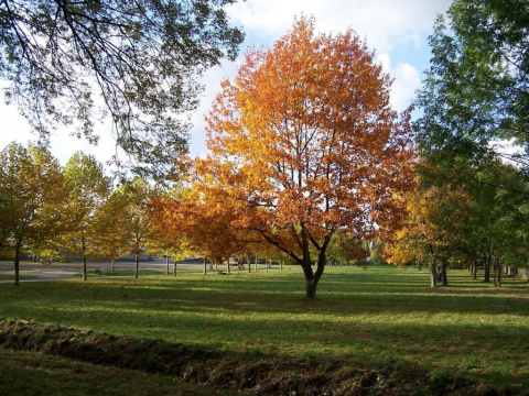 An der Festwiese, Bild: Ulrich Ihle